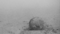egadi-helmets-2013.06.23b.jpg