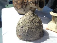 egadi-helmets-2013a.jpg