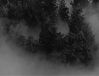 akira-kurosawa-throne-of-blood.jpg