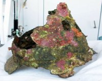 Elmo-bronzeo-a-pileo.jpg
