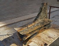 egadi-18-4.jpg